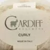 Włóczka kaszmirowa Curly Cardiff - 101 biały natural