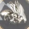 Guzik pszczoła 12mm kol - 577 szary