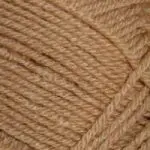 2542 wielbłądzi camel