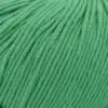 Włóczka bawełniana Cosma Lamana - 19 May Green