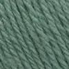 Włóczka Merino Baby Pascuali - 319 agawa