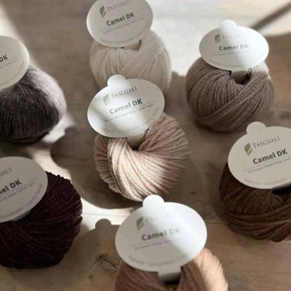 Pascuali włóczka Camel DK