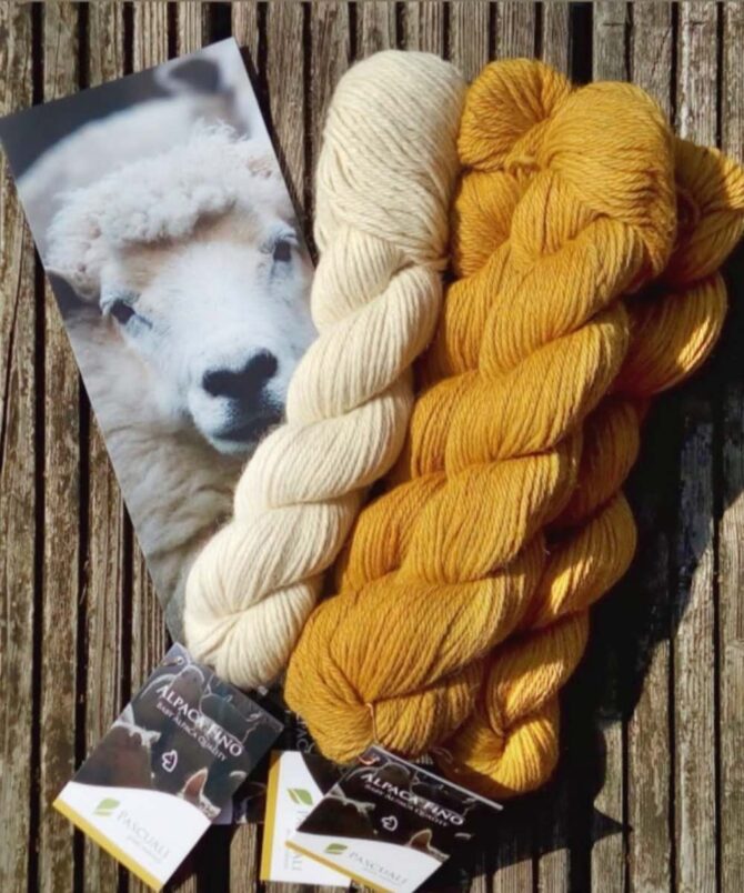 Alpaca Fino Pascuali włóczka z alpaki baby