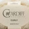Włóczka kaszmirowa Curly Cardiff - 101 biały natural