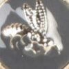 Guzik pszczoła 12mm kol - 577 szary