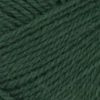 Brady Sweater 2507-01a wzór na druty z włóczką - 8082 zielony las