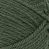 Brady Sweater 2507-01a wzór na druty z włóczką - 9581 sosna