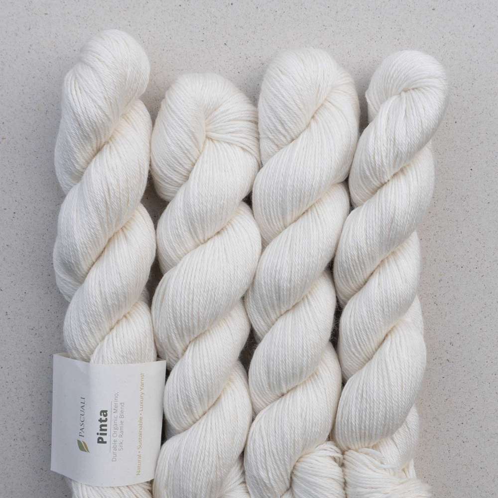 Włóczka Pinta Pascuali